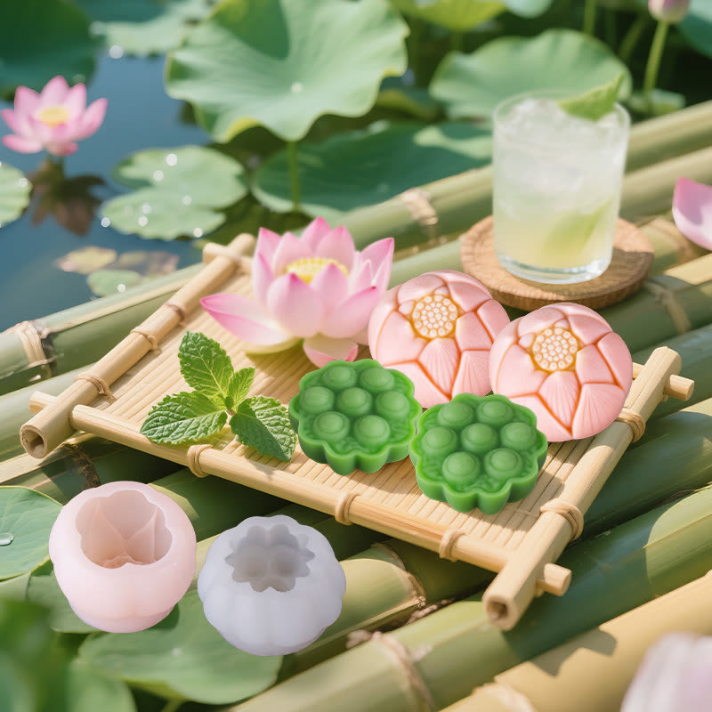 Lotus Pod Mooncake Mold (WYD-580)