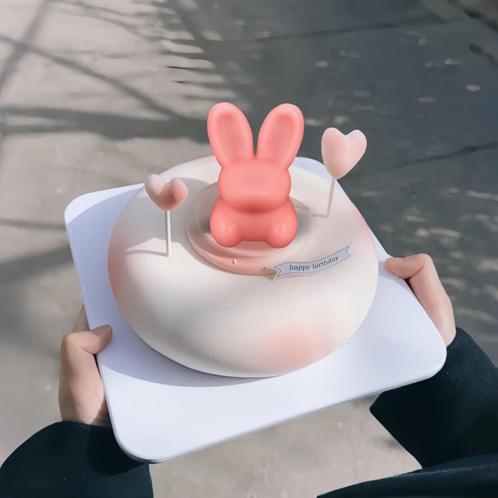 Lychee Rose Mousse Cake Mold (WYD-504)