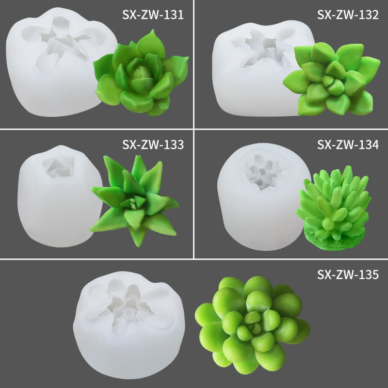 Succulent Cake Mold (WYD-531)