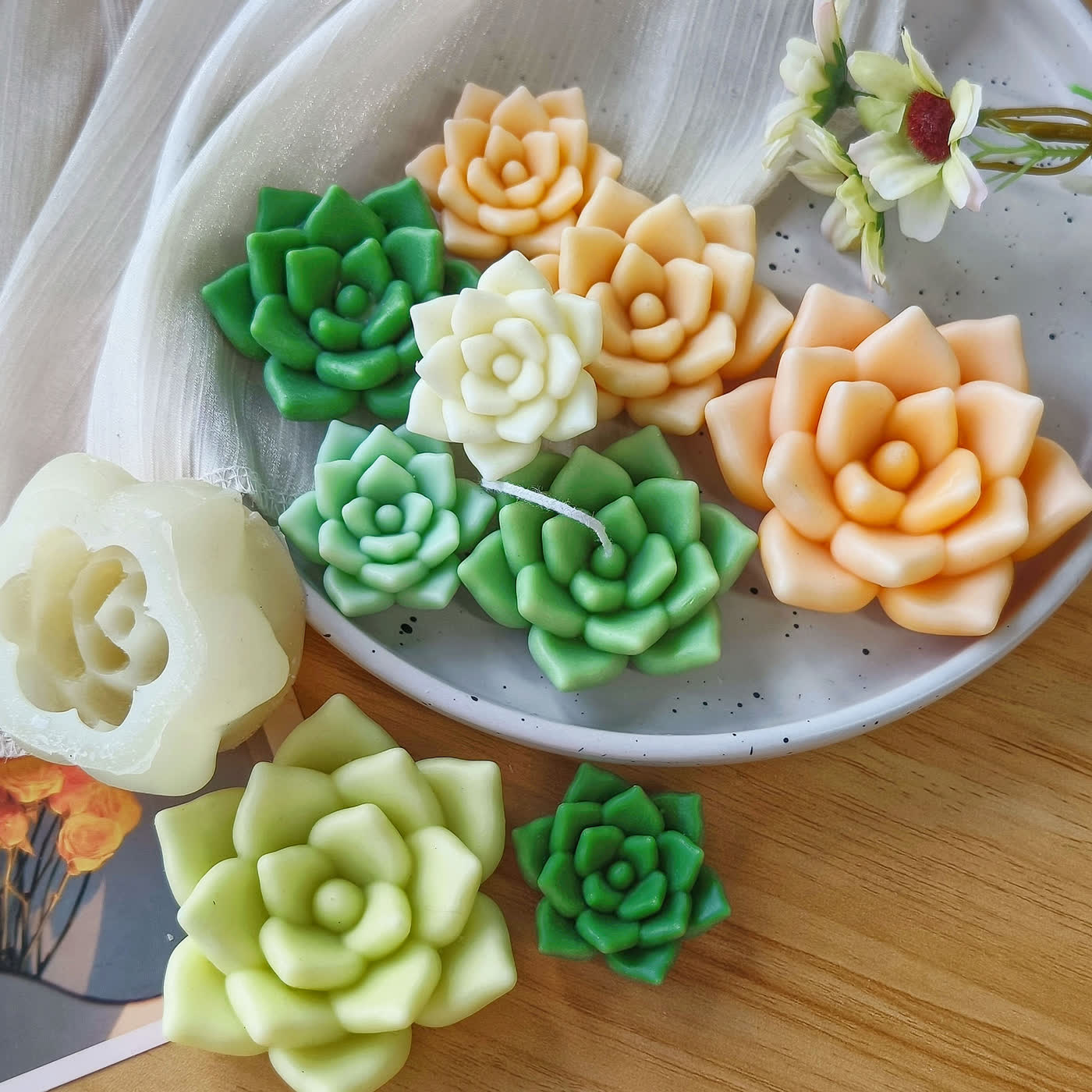 Succulent Planter Candle Mold (WYD-062)