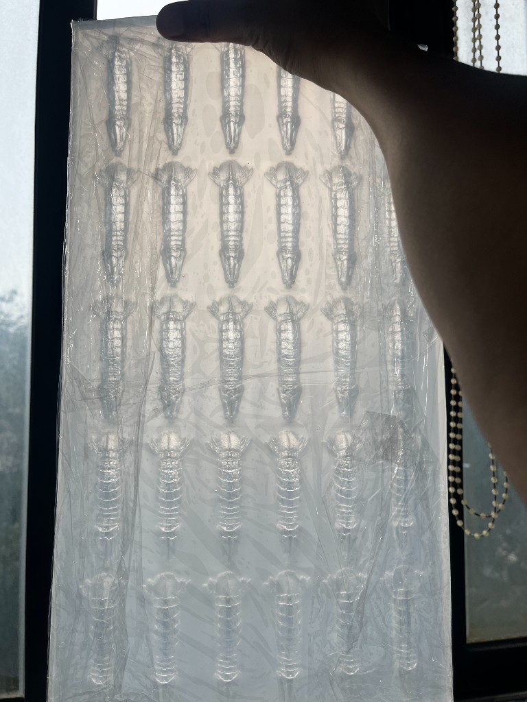 Translucent multi-cavity silicone mold for mantis shrimp, held to a window