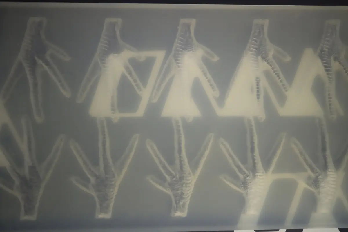Detailed chicken-foot cavities in a food silicone mold