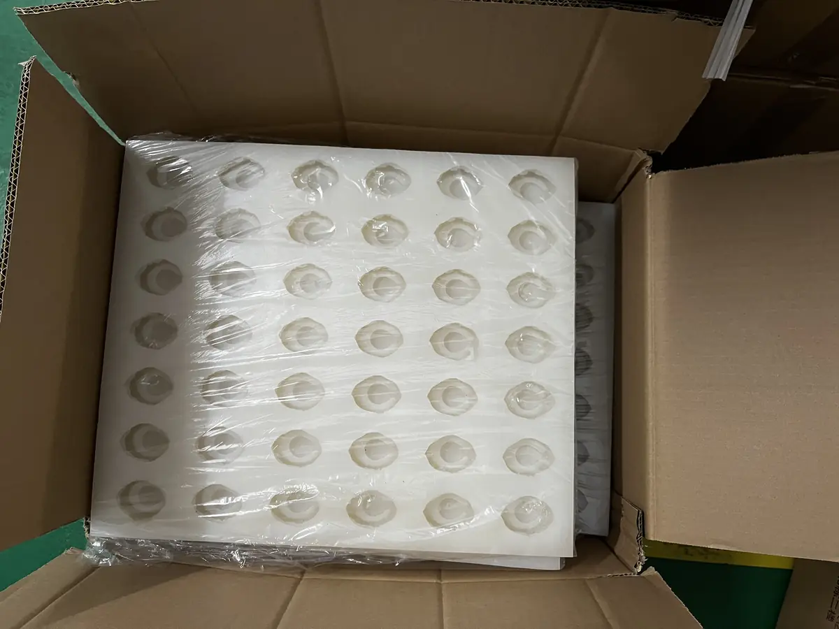 Packed multi-cavity food trays ready to ship